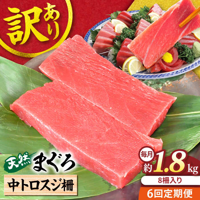 【ふるさと納税】【全6回定期便】【訳あり】天然 本まぐろ 中トロ 計約1.8kg (8柵入り) マグロ 定期 鮪 まぐろ 中とろ 刺身 定期便 横須賀 規格外 【本まぐろ直売所】[AKAK072]