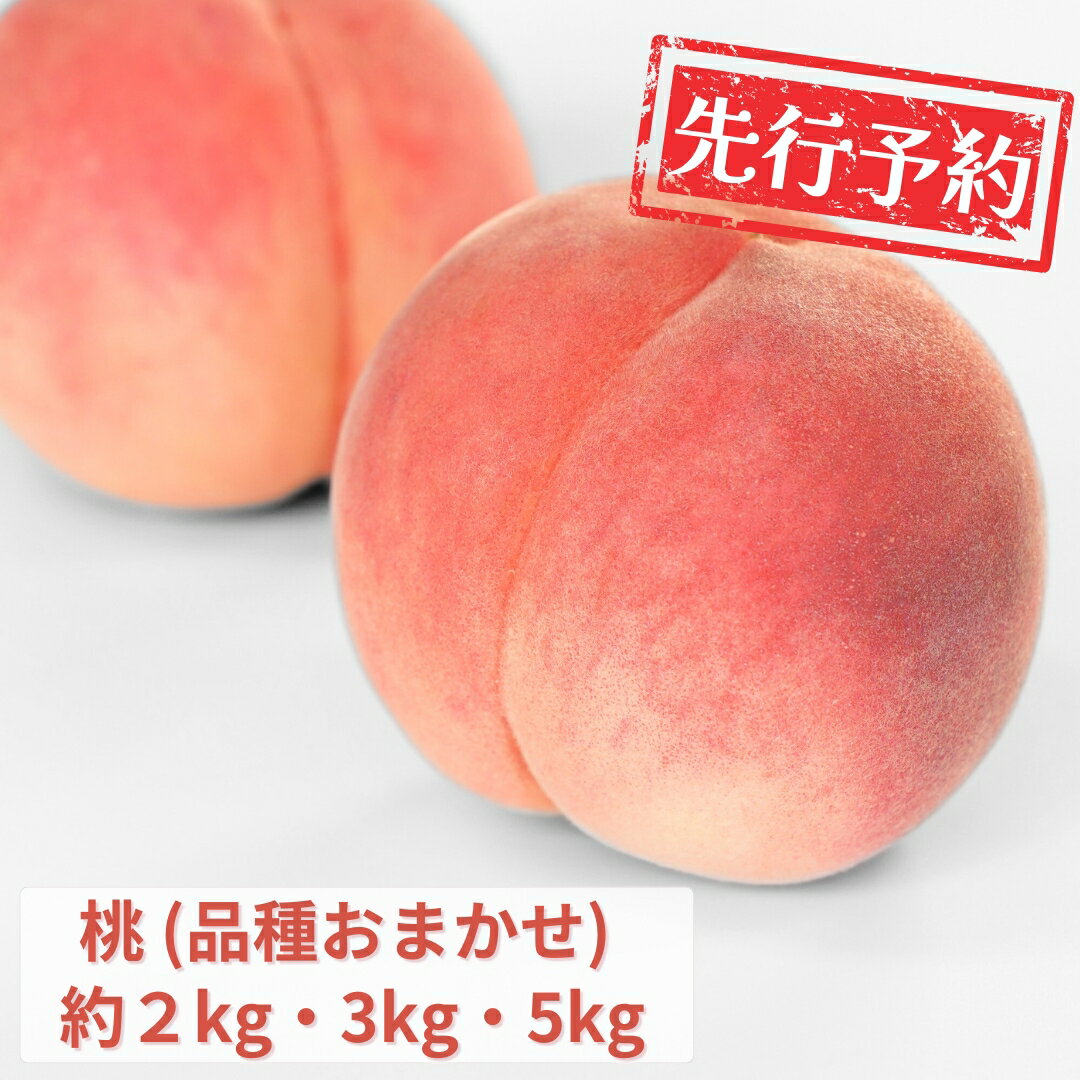 【ふるさと納税】先行予約 桃 (品種おまかせ) 約2kg・3kg・5kg[2026年発送分] 令和8年産 新潟フルーツ 新潟県産桃 [石田フルーツガーデン]
