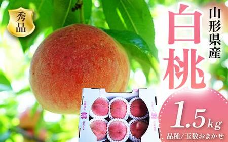 《2026年産先行受付》 山形県産 白桃 品数・玉数おまかせ 秀品 1.5kg FSY-2519