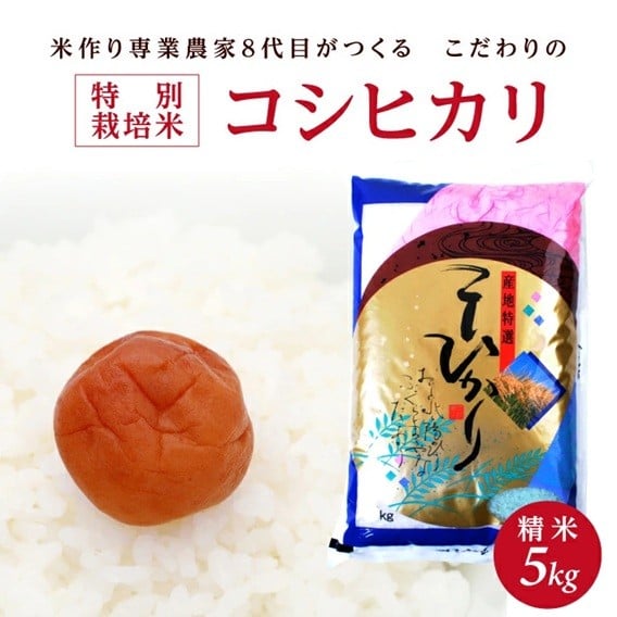 
            令和7年産【精米】特別栽培米コシヒカリ　5kg×1袋「農家直送」 KA SA2707
          