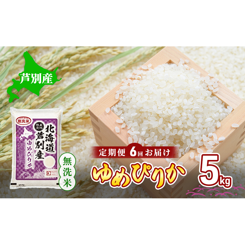 米 定期便 6ヵ月 ゆめぴりか 無洗米 5kg 白米 精米 産地直送 お米 単一原料米 ブランド米 特A米 特A 5キロ 北海道産 ご飯 ごはん こめ コメ 送料無料 令和7年産 北海道 芦別 芦別市 定期 6回 芦別応援米