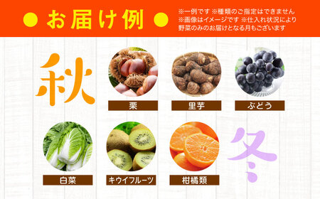 【6回定期便】野菜（6種以上）定期便[AGAP019]