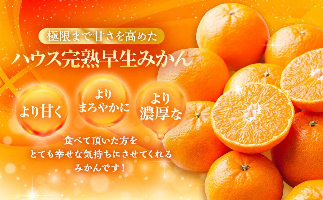 先行予約 ハウス完熟早生みかん 約5キロ箱 フルーツ 果物 くだもの ミカン