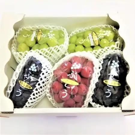 生産者直送!　シャインマスカット2房と大粒他品種ぶどうの詰め合わせ　約2.1kg　【種無し】【配送不可地域：離島】【1186898】