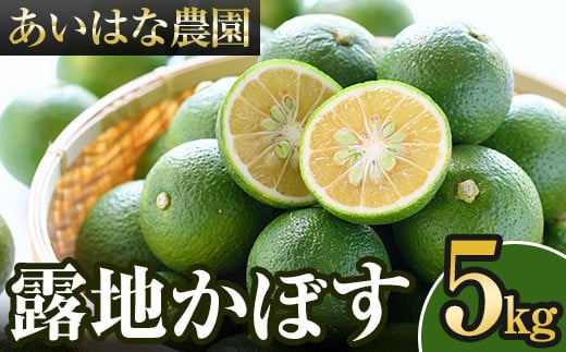 
            ＜先行予約受付中！2025年8月上旬～2026年2月下旬ごろ順次発送予定＞露地カボス(約5kg)かぼす カボス 柑橘 特産品 大分県産【107100401】【あいはな農園】
          
