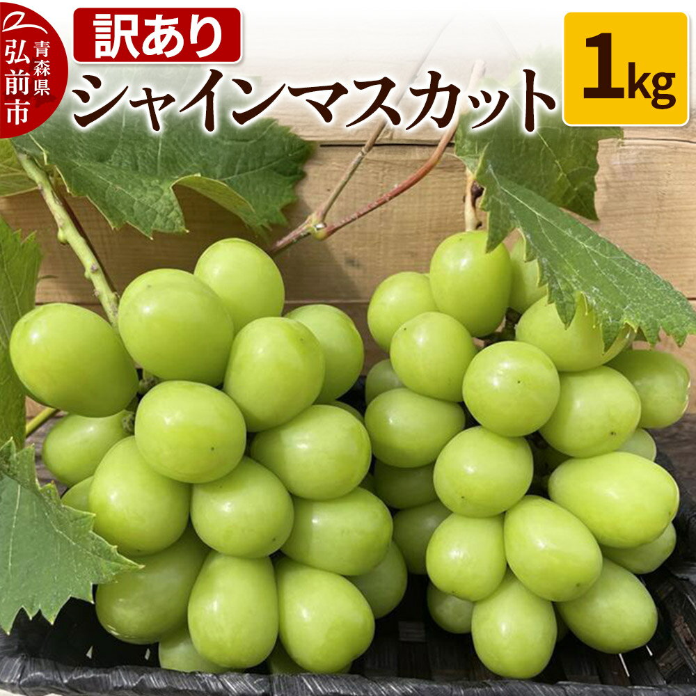 【ふるさと納税】【レビューキャンペーン】【25年9月〜発送】 【訳あり】 シャインマスカット1kg【先行受付】 ぶどう フルーツ 果物 ブドウ 葡萄 グレープ くだもの 産地直送