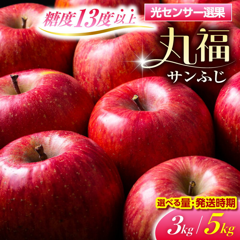【ふるさと納税】 糖度13度以上 サンふじ 丸福 りんご ( 内容量が選べる : 3kg 5kg / 配送時期が選べる : 11月～3月 ) 無袋 光センサー 選果 秋 旬 フルーツ 常温保存 年内発送 年内配送 12月 1月 2月 3月 青森県 五所川原市 林檎 送料無料 リンゴ 訳あり 以上