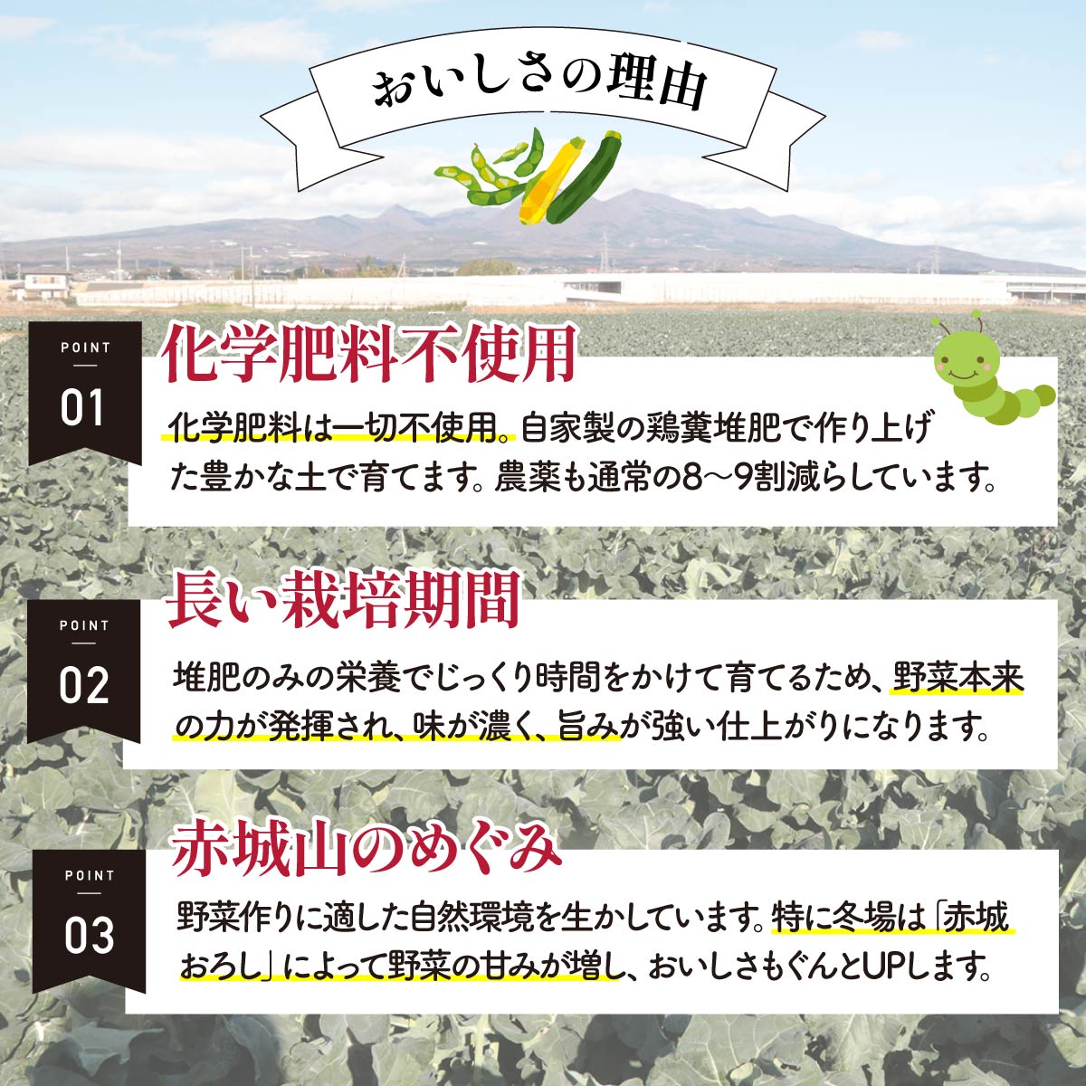 野菜ソムリエが送る 良農園の旬野菜ギフト