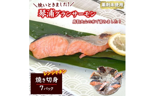 国産とっとり琴浦グランサーモン焼いときました 焼魚７切 塩焼き 不揃いのため訳あり 個包装 レンチン