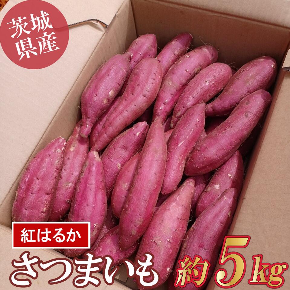 【ふるさと納税】☆先行予約 2025年9月～順次発送☆さつまいも 5kg (紅はるか)｜茨城県 つくば市 芋 さつま芋 蜜いも 焼き芋 紅はるか しっとり食感 高糖度 甘藷 10000 10000円