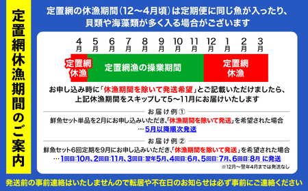 【12ヶ月定期便 / 下処理する】鮮魚セット 厳選 三陸海の恵み詰め合わせ  (1回あたりのお届け目安：4～5人用) 【 鮮魚 海鮮 お刺身 魚介 魚介類 鮮魚BOX 詰め合わせ セット 三陸産 国産