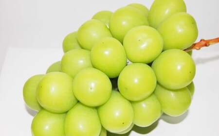 果物詰合せ（岡山白桃 4玉（1玉 220g以上）《等級：ロイヤル》・シャインマスカット晴王 1房（580g以上）・ニューピオーネ 1房（580g以上））【2026年7月上旬～8月下旬 発送予定】【もも 桃 シャインマスカット ぶどう ピオーネ 果物 フルーツ 国産 人気 おすすめ 岡山県 倉敷市】