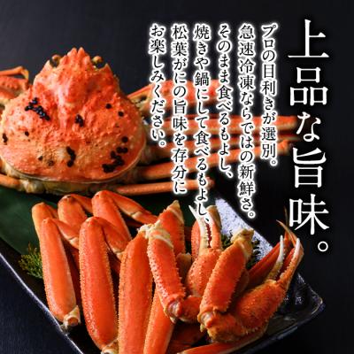 ふるさと納税 境港市 松葉がにボイル姿(1-2枚/計800g) |  | 02