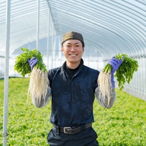 ＼TV青空レストランに登場／ 三関産 せり 5束 生産者直送 秋田県伝統野菜 ご自宅で絶品の せり鍋 や 天ぷら が楽しめる ふるさと納税 せり 鍋 ふるさと 人気 ランキング [M10901]