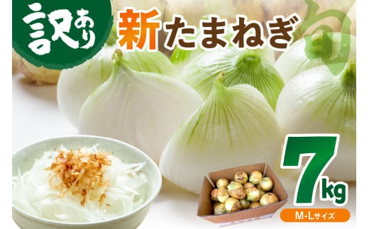 【訳あり】新たまねぎ%%UPDATE%%%%UPDATE%%