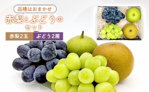 
                  B-1170 赤梨とぶどうのセット
                