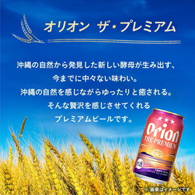 【毎月定期便】オリオン ザ・プレミアム(350ml×24本)全12回【4062060】