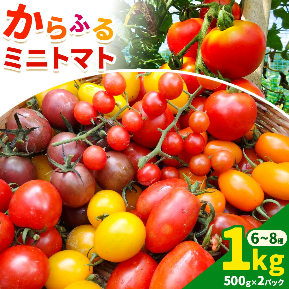 【ふるさと納税】からふる ミニトマト 500g × 2パック 約1kg 6～8種 やまおか農園《7月中旬-8月上旬頃出荷》岡山県 備前市 トマト ミニトマト とまと 野菜 サラダ スープ パスタ 送料無料