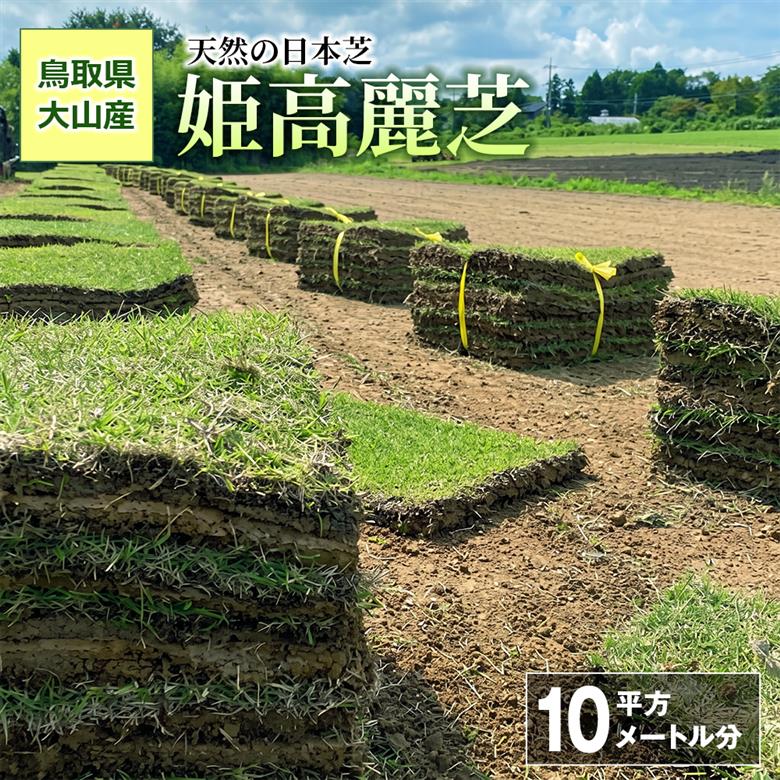 YG-04 天然の日本芝「姫高麗芝」１０平方メートル分BOX