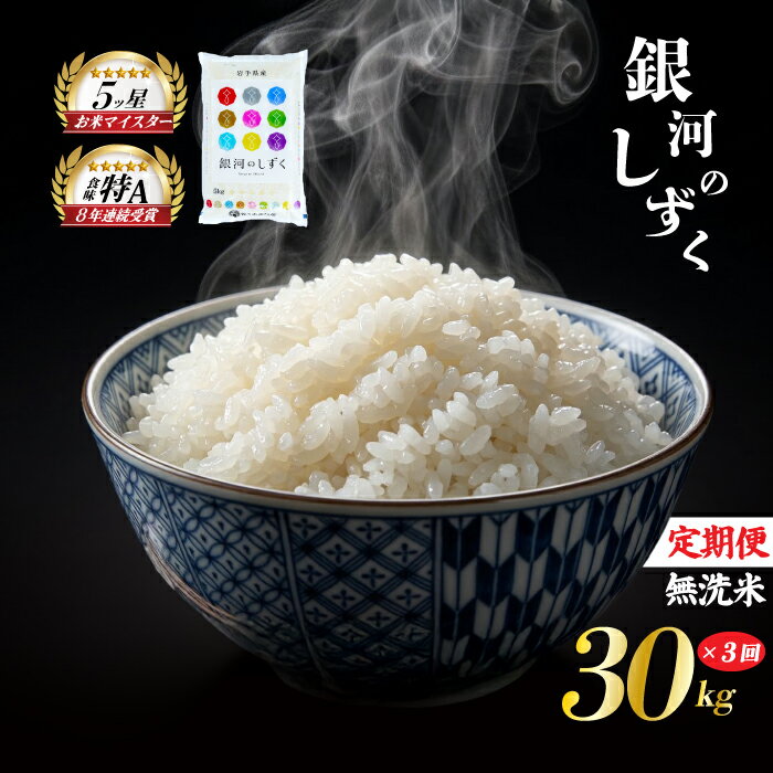 【ふるさと納税】 銀河のしずく 無洗米 30kg 5kg×6袋 米 定期便 3回 3ヶ月 連続 お届け 盛岡市産 いわて米 ブランド米 精米 白米 米 お米 こめ コメ ライス ご飯 ごはん 美味しい おすすめ贈り物 ぎんがのしずく 国産 産地直送 盛岡 佐々木米穀店