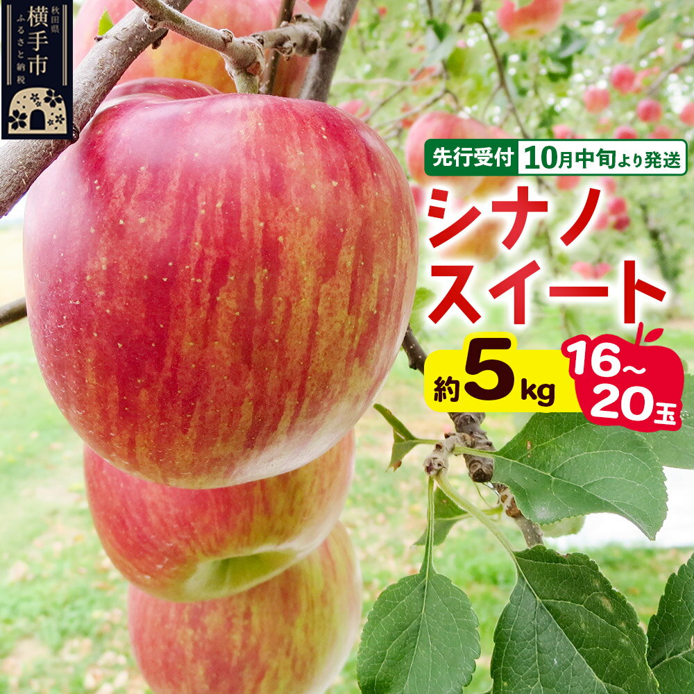 【ふるさと納税】【先行受付】10月中旬より発送 シナノスイート約5kg（16〜20玉）りんご 秋田県横手市