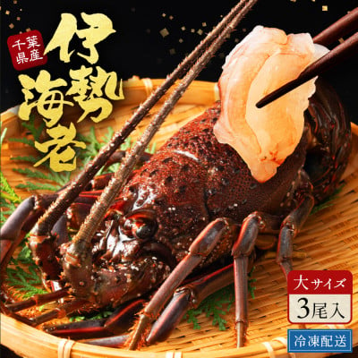 
            天然伊勢海老・千葉県生冷活〆 大サイズ 500gUP×3尾入1.8kg＜刺身OK＞贈答【1498739】
          