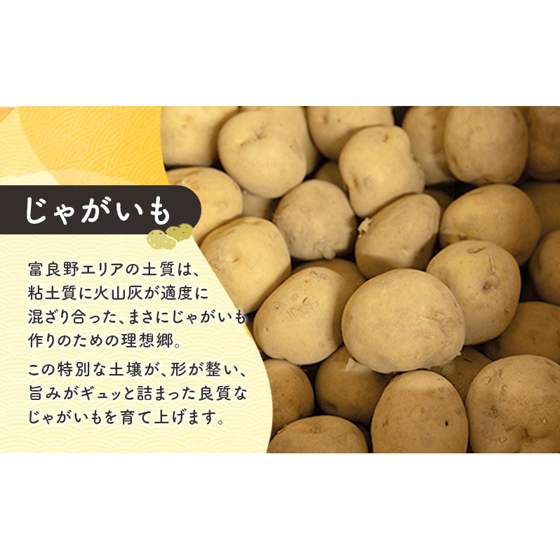 [TVで紹介されました！]上富良野産 野菜セット（ じゃがいも 玉ねぎ かぼちゃ ）約10kg [ 一色商店 いも 玉葱 南瓜 野菜 北海道 上富良野町 ]