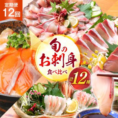 ふるさと納税 日向市 【毎月定期便】刺身 柵 旬のお刺身　全12回
