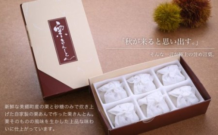 和菓子 栗きんとん 6個入 × 2箱 [栗きんとん はな恵 宮崎県 美郷町 31am0005]