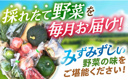 野菜 12回定期便  諫早産野菜の詰め合わせ 8・9品目程度 [AHDI003]
