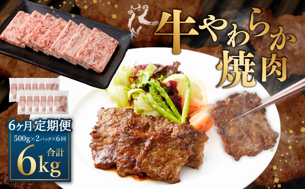 
            【定期便6回】 牛やわらか焼肉 ／ 1回あたり：500g×2パック 計1kg ／ 焼肉 焼き肉 牛 肉牛 冷凍 熊本県 あさぎり町
          