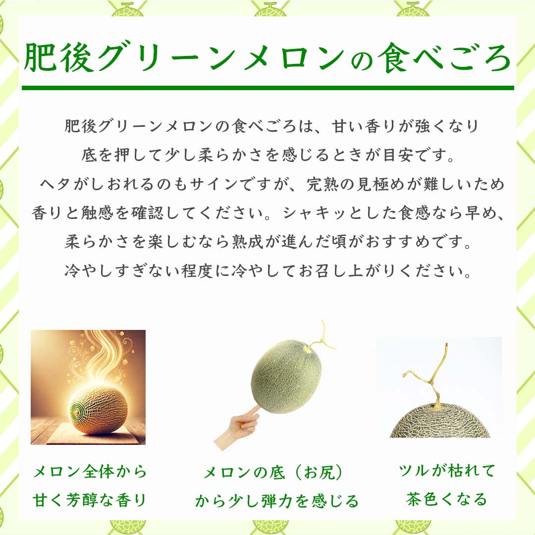 肥後グリーンメロン 約4kg（2玉 4L以上）【2026年5月上旬〜2026年7月下旬配送予定】 果物 フルーツ くだもの メロン めろん 青肉メロン 国産 熊本 熊本県 九州 産地直送 極上 美しい