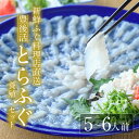 【ふるさと納税】＜着日指定必須＞新鮮ふぐ料理店直送 「豊後活とらふぐ 刺身セット 養殖5-6人前」とらふぐ ふぐ フグ ふぐ刺し フグ刺し ふぐ刺身 フグ刺身 刺身 鮮魚 冷蔵 国産 大分県 佐伯市【HD221】【さいき本舗 城下堂】