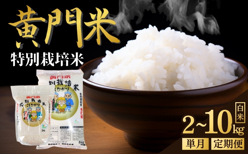 
                  令和8年度 米 新米 特別栽培米 コシヒカリ 白米 2kg 5kg 10kg 黄門米 選べる 内容量 定期便【3～5営業日発送】  | コシヒカリ こしひかり 特別栽培農産物認証米  米 コメ こめ 白米 精米 10kg 10キロ 5kg お米  ご飯 美味しい米 ブランド米  特産物 人気米 タツミ米穀 茨城県産 常陸太田市
                