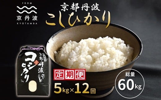 【12カ月定期便】 京丹波こしひかり 5kg×12カ月連続 合計60kg 令和7年産 京都 米 精米 コシヒカリ ※北海道・東北・沖縄・その他離島は配送不可 [120MB001R]