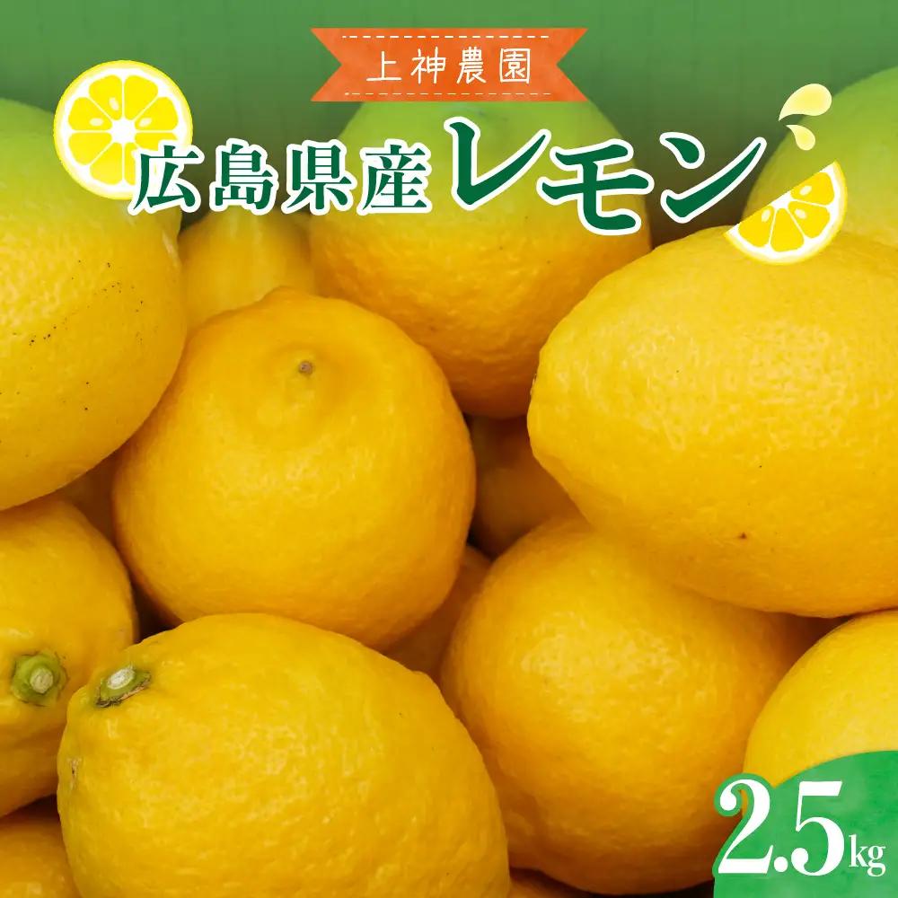 先行受付 2026年11月～発送 広島県産 レモン 約2.5kg