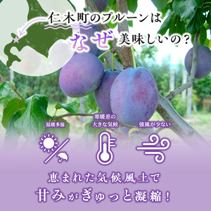 プルーン サンプルーン 厳選品 北海道産 プルーン【800g】