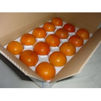 ふるさと納税 京都市 【京都市農協 大枝支部】<令和7年11月中旬〜発送>大枝冨有柿(Lサイズ 15個) |  | 01