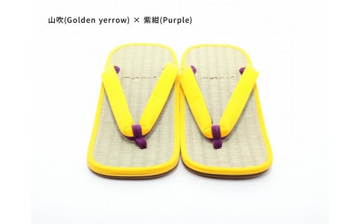 inoca  SETTA　OVERSEAS【山吹×紫紺】