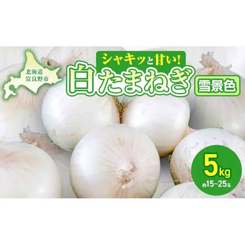 【2026年夏発送】富良野産 白玉ねぎ 雪景色II 約5kg （約15～25玉）新玉ねぎ 野菜 甘い 新鮮 直送 玉ねぎ 玉葱 サラダ 北海道 富良野 幕田農園
