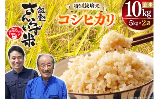 米 令和8年産 特別栽培米 コシヒカリ 10kg 玄米 [合同会社NotoSunriseFarm 石川県 宝達志水町 38601356] コメ こめ お米 ごはん コシヒカリ 10キロ 能登 新米