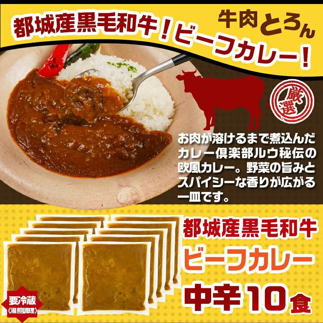 カレー倶楽部ルウのビーフカレー10食＆手羽元カレー2食セット〔AA-2709〕_(都城市) ビーフカレー 都城産黒毛和牛使用 手羽元カレー 霧島鶏使用 合計12食 チルド食品