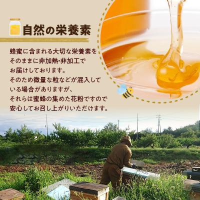 ふるさと納税 小牧市 桃畑で作った完熟非加熱はちみつ 200g×3本 パウチ入り ポスト便[055A29] |  | 02