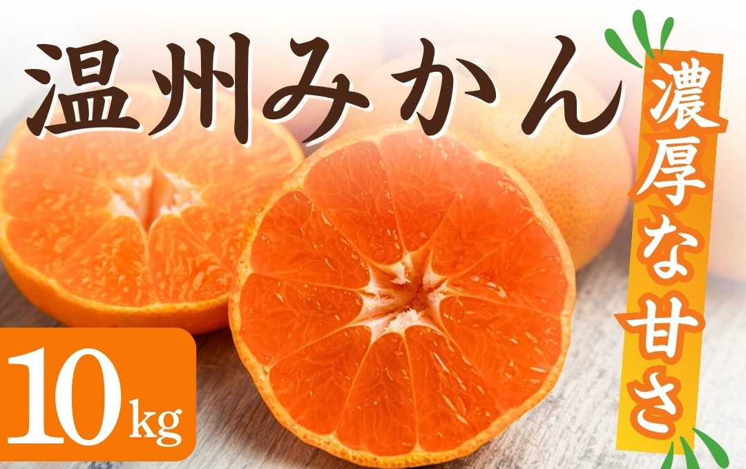
                  【先行予約】湯の花　季節の温州みかん10kg箱　【早生 温州 みかん 果物 果物 フルーツ 旬 柑橘 甘い 新鮮 伊豆 南伊豆 】　<BC-34>
                
