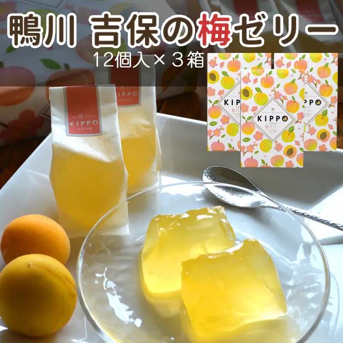 【鴨川・吉保梅の里】南高梅のさわやかな一口ゼリー「吉保の梅ゼリー」12個入り×３箱 《配送指定OK》《2週間以内に発送》《のし対応可》鴨川産 南高梅 梅ゼリー 一口ゼリー 吉保梅 吉保梅の里 梅スイーツ 和スイーツ 個包装 手土産 ギフト 常温保存 お取り寄せ [正和物産][0011-0088]