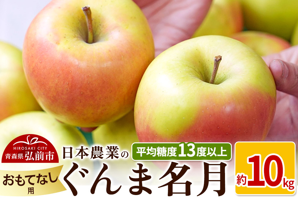 りんご 【先行受付】平均糖度13度以上！ ぐんま名月 約10kg おもてなし用
