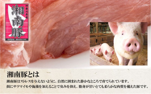 湘南豚 ロース・バラしゃぶしゃぶセット  【神奈川県産豚】 豚肉 ロース 薄切り バラ しゃぶしゃぶ 国産 肉 ポーク 冷凍 人気 おすすめ 藤沢市