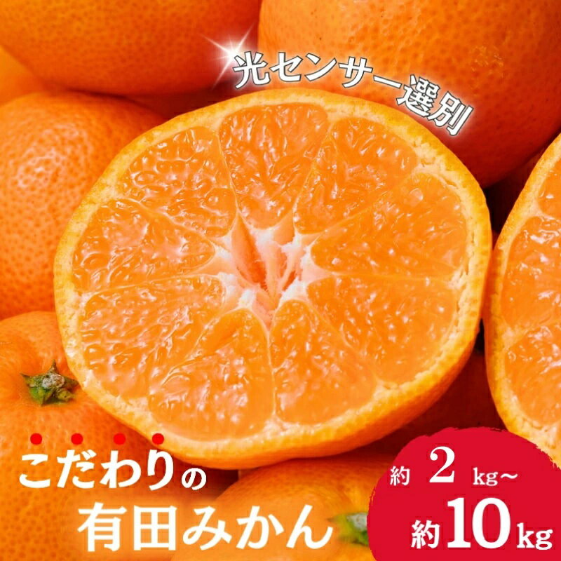 【ふるさと納税】 【ご家庭用】農家直送 こだわりの完熟有田みかん【選べる容量】 約2kg / 約4kg / 約5kg / 約6kg / 約8kg / 約10kg 【11月・12月発送から選択可能】みかん ミカン 有田みかん 温州みかん 柑橘 有田 和歌山 産地直送