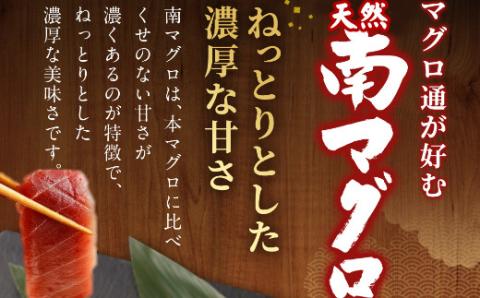 【３回定期便】天然南マグロ　中トロ　１柵　解凍書付 海鮮 魚介 鮪 惣菜 冷凍 ミナミマグロ
