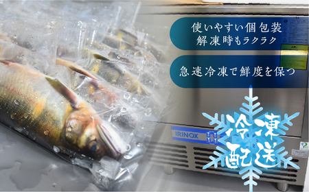 冷凍鮎 12匹 / 天然鮎 鮎